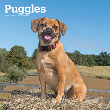 Calendar Puggles 2021 Square Book