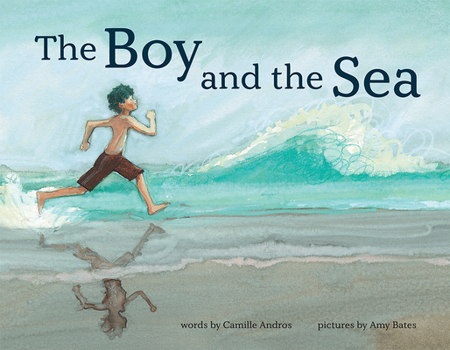 Hardcover The Boy and the Sea Book