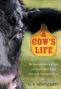Hardcover A Cow's Life: The Surprising History of Cattle, and How the Black Angus Came to Be Home on the Range Book
