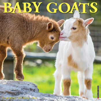 Calendar Baby Goats 2021 Wall Calendar Book