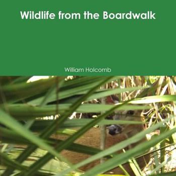 Paperback Wildlife from the Boardwalk Book