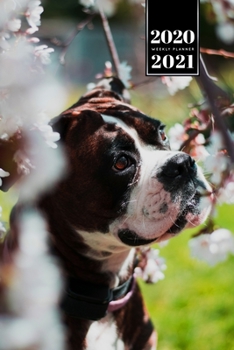 Boxer Dog Calendar Week Planner 2020 / 2021 - Cherry Flowers: Pup Puppy Doggie Pet Owner Weekly Bullet Journal Notebook Diary in 6” x 9” Inch Pocket Size