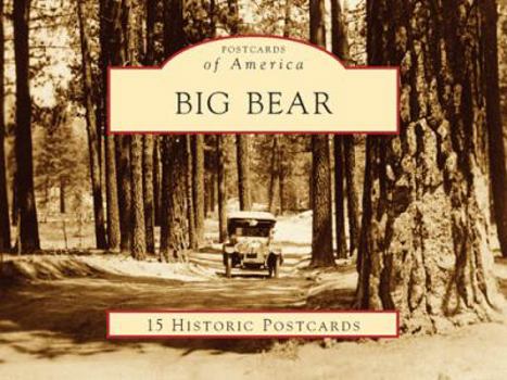 Cards Big Bear Book