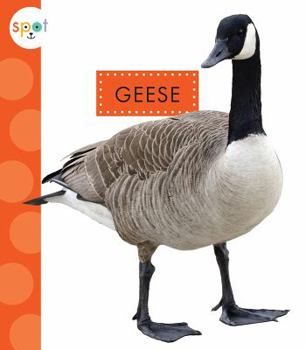 Paperback Geese Book
