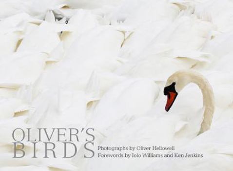 Hardcover Oliver's Birds: By Oliver Hellowell Book
