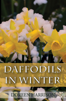 Paperback Daffodils in Winter Book