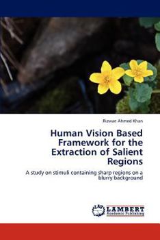 Paperback Human Vision Based Framework for the Extraction of Salient Regions Book