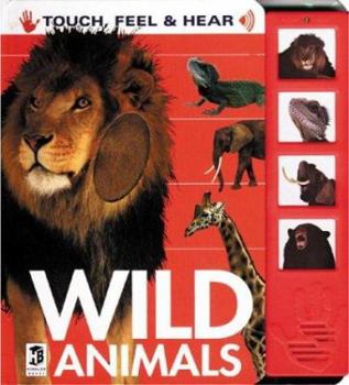 Wild Animals: Touch, Feel, and Hear