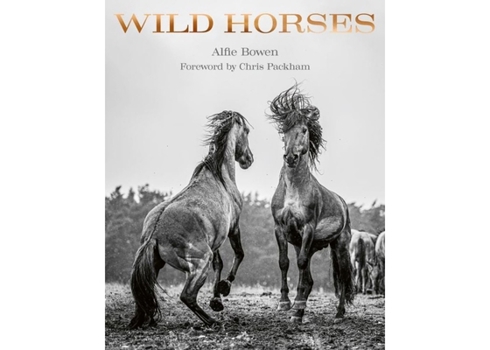 Hardcover Wild Horses Book