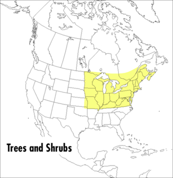 A Field Guide to Trees and Shrubs: Northeastern and north-central United States and southeastern and south-centralCanada (Peterson Field Guides(R)) - Book  of the Peterson Field Guides