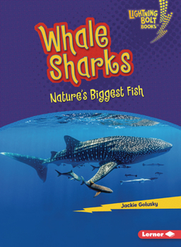 Paperback Whale Sharks: Nature's Biggest Fish Book