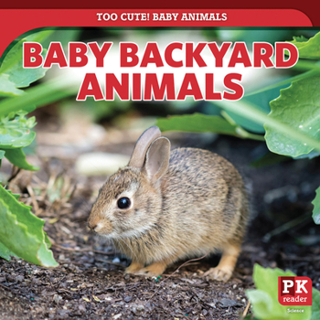 Library Binding Baby Backyard Animals Book