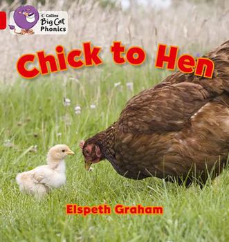 Paperback Chick to Hen: Band 02a/Red a Book
