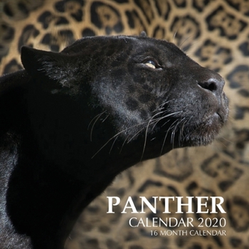 Paperback Panther Calendar 2020: 16 Month Calendar Book