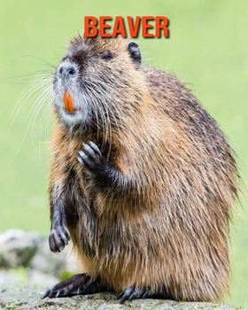 Beaver: Amazing Photos & Fun Facts Book About Beaver For Kids