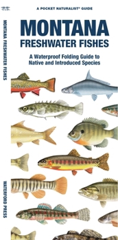 Paperback Montana Freshwater Fishes: A Folding Guide to Native and Introduced Species Book