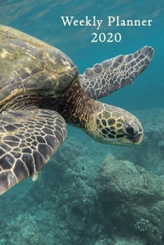 Weekly Planner 2020: Sea Turtle | 6x9 | Calendar | Organizer | calendar | weekly Calendar | Diary | Journal |
