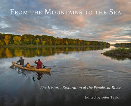 Paperback From the Mountains to the Sea Book