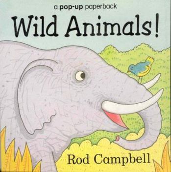 Paperback Wild Animals! Book