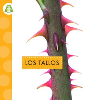 Los tallos (Partes de las plantas) (Spanish Edition)