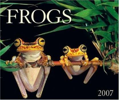 Calendar Frogs Book