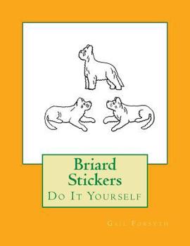 Paperback Briard Stickers: Do It Yourself Book