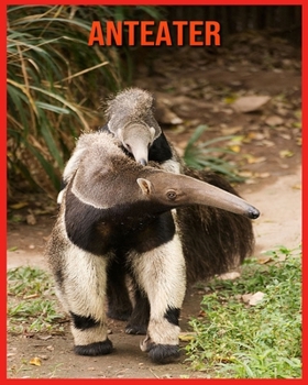 Anteater: Fascinating Anteater Facts for Kids with Stunning Pictures!