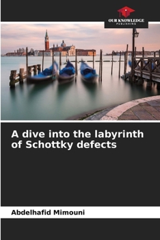 Paperback A dive into the labyrinth of Schottky defects Book