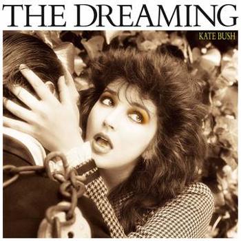 Vinyl The Dreaming Book