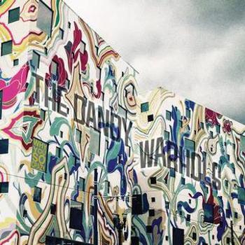 Vinyl Why You So Crazy Book