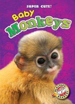 Library Binding Baby Monkeys Book