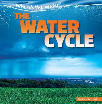 Paperback The Water Cycle Book