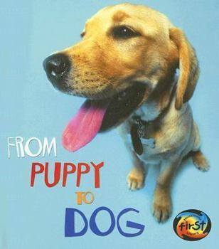 From Puppy to Dog - Book  of the How Living Things Grow