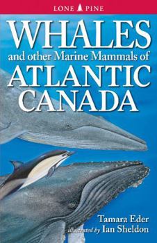 Paperback Whales and Other Marine Mammals of Atlantic Canada Book