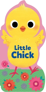 Board book Little Chick Book