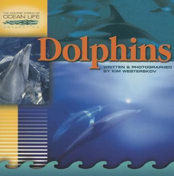 Paperback Dolphins Book