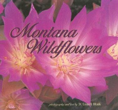 Paperback Montana Wildflowers Book