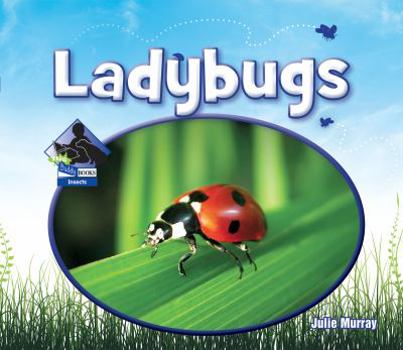 Library Binding Ladybugs Book