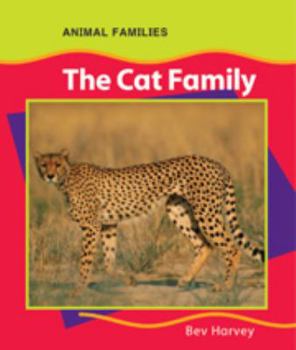 Hardcover The Cat Family (Anfam) Book