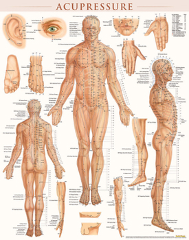 Poster Acupressure Poster (22 X 28 Inches) - Laminated: Anatomy of Points for Acupressure & Acupunture Book