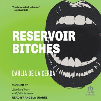 Reservoir Bitches: Stories