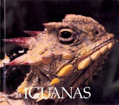 Library Binding Iguanas Book