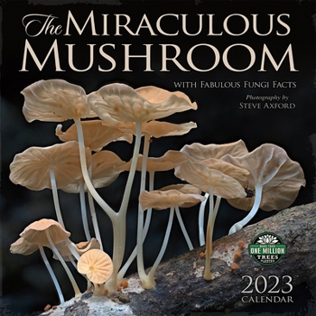 Calendar Miraculous Mushroom 2023 Wall Calendar Book