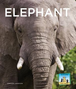 Elephant - Book  of the Sandcastle Giant Animals