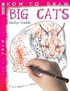 Paperback How to Draw Big Cats Book