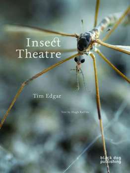 Paperback Insect Theatre Book