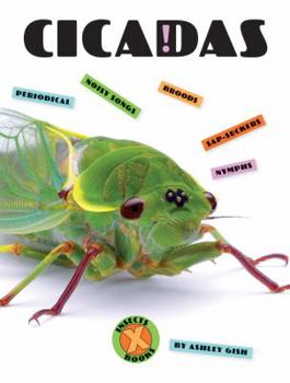 Cicadas - Book  of the X-Books: Insects
