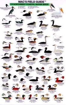 Misc. Supplies Mac's Field Guides: Northwest Coast Water Birds Book