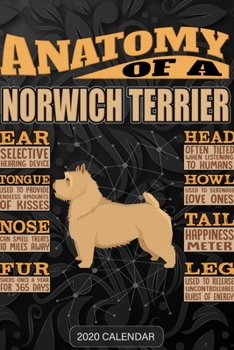 Paperback Anatomy Of A Norwich Terrier: Norwich Terrier 2020 Calendar - Customized Gift For Norwich Terrier Dog Owner Book