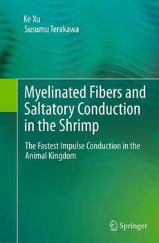 Paperback Myelinated Fibers and Saltatory Conduction in the Shrimp: The Fastest Impulse Conduction in the Animal Kingdom Book